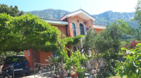 Ferienhaus Olive Tree